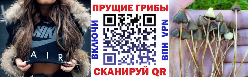 Галлюциногенные грибы ЛСД  Благовещенск 